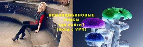 прущая мука Кулебаки